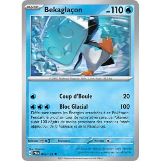 Bekaglaçon 048/193