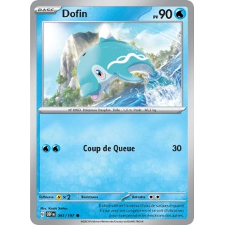 Dofin 061/197