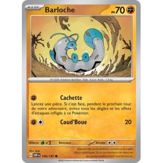 Barloche 108/197