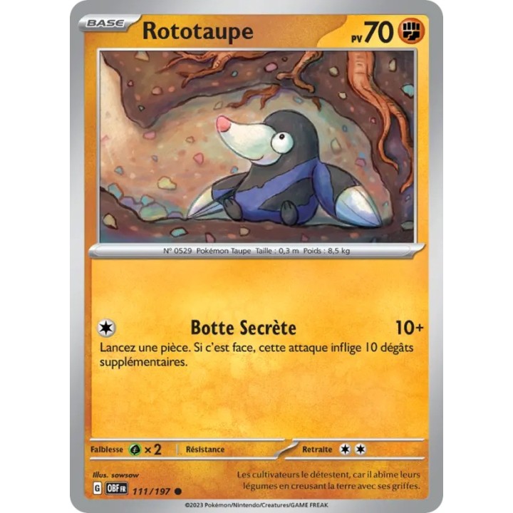 Rototaupe 111/197