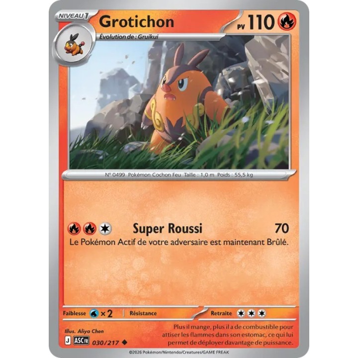 Grotichon 030/217