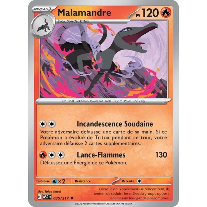 Malamandre 035/217