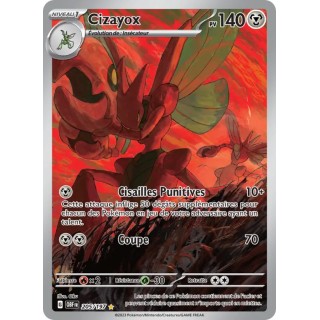 Cizayox 205/197