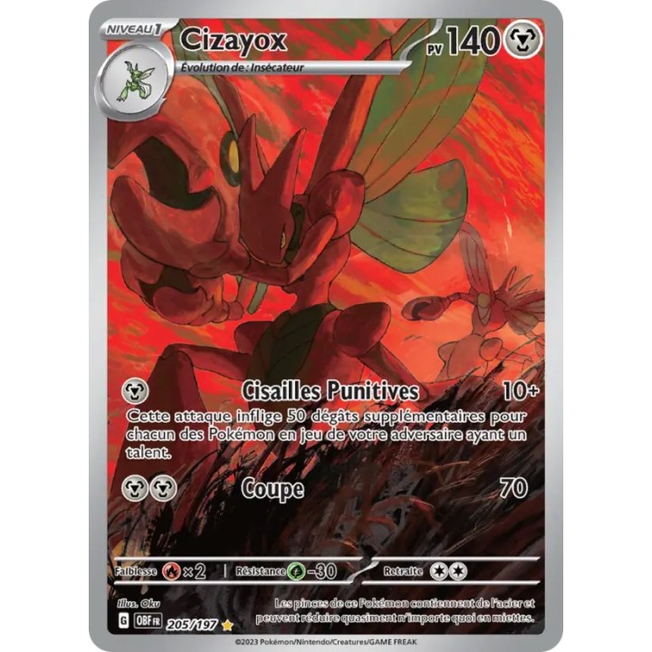 Cizayox 205/197