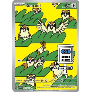 Roucool 207/197
