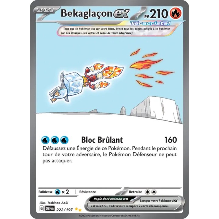 Bekaglaçon-ex 222/197