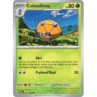 Coléodôme 011/182