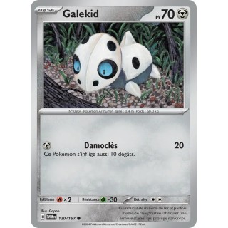 Galekid 120/167