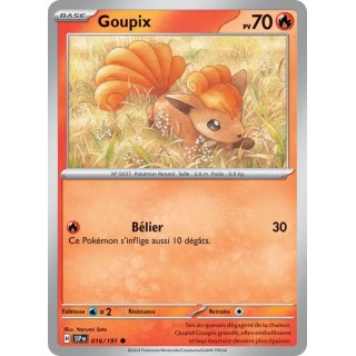 Goupix 016/191