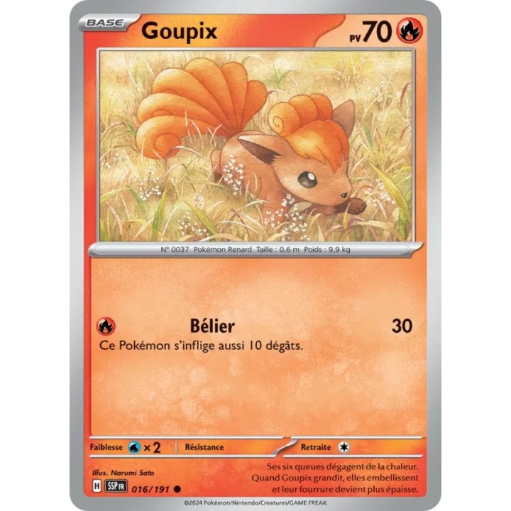 Goupix 016/191