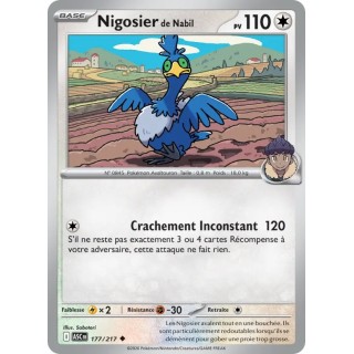 Nigosier de Nabil 177/217