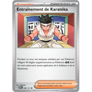 Entraînement de Karatéka 096/131