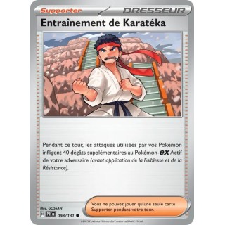 Entraînement de Karatéka 098/131