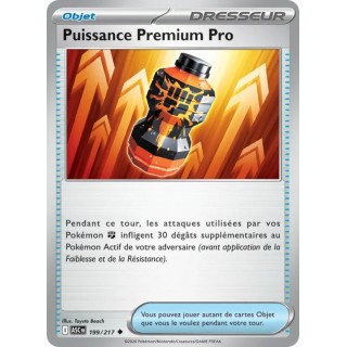Puissance Premium Pro 199/217