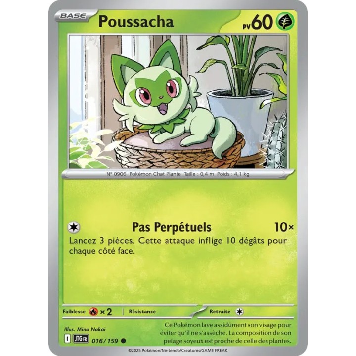 Poussacha 016/159