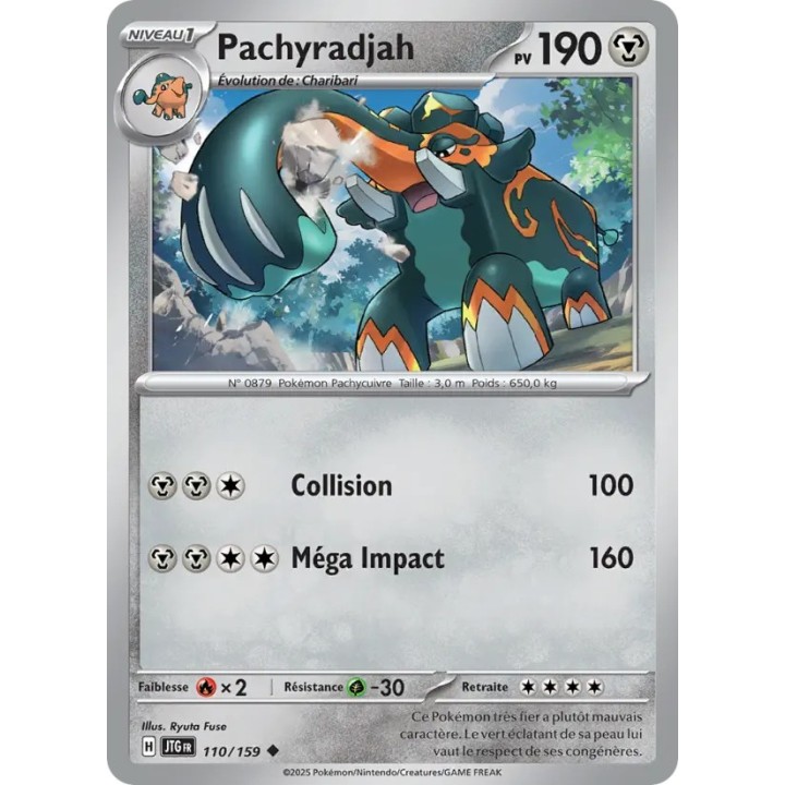 Pachyradjah 110/159