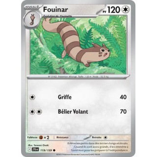 Fouinar 119/159