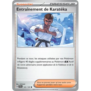 Entraînement de Karatéka 145/159