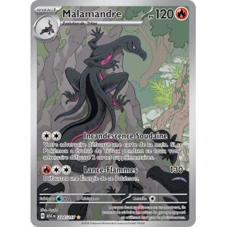 Malamandre 224/217