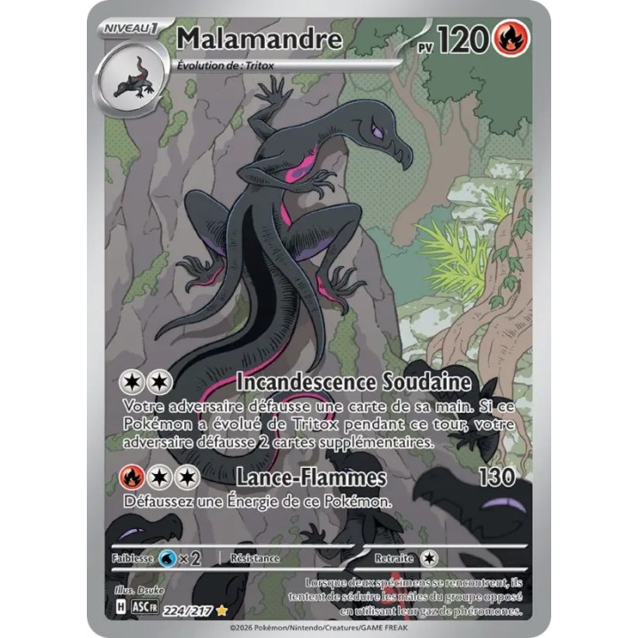 Malamandre 224/217