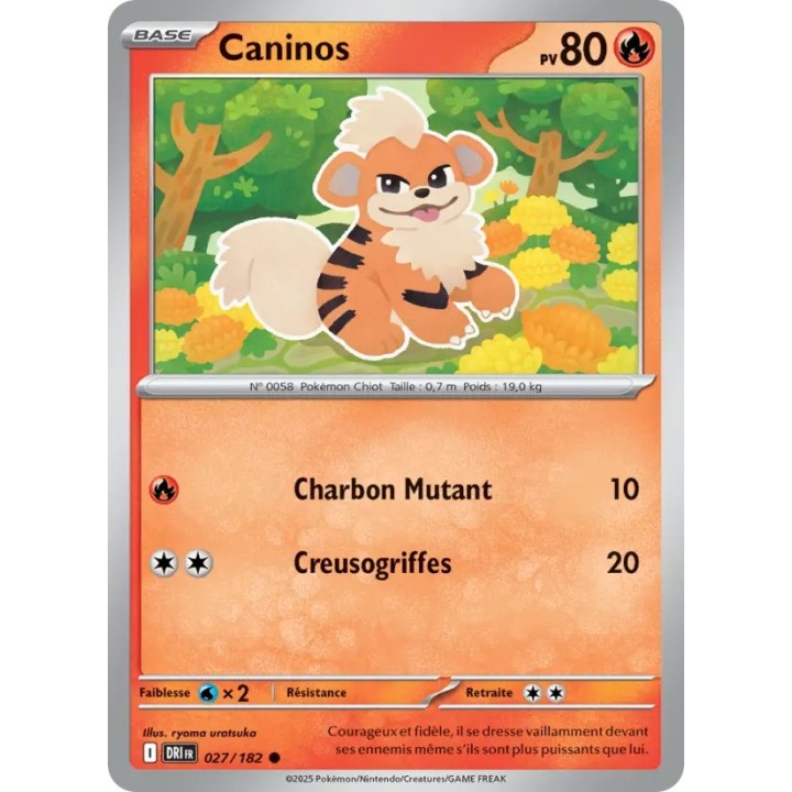 Caninos 027/182