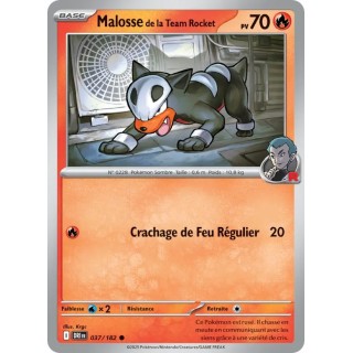 Malosse de la Team Rocket 037/182