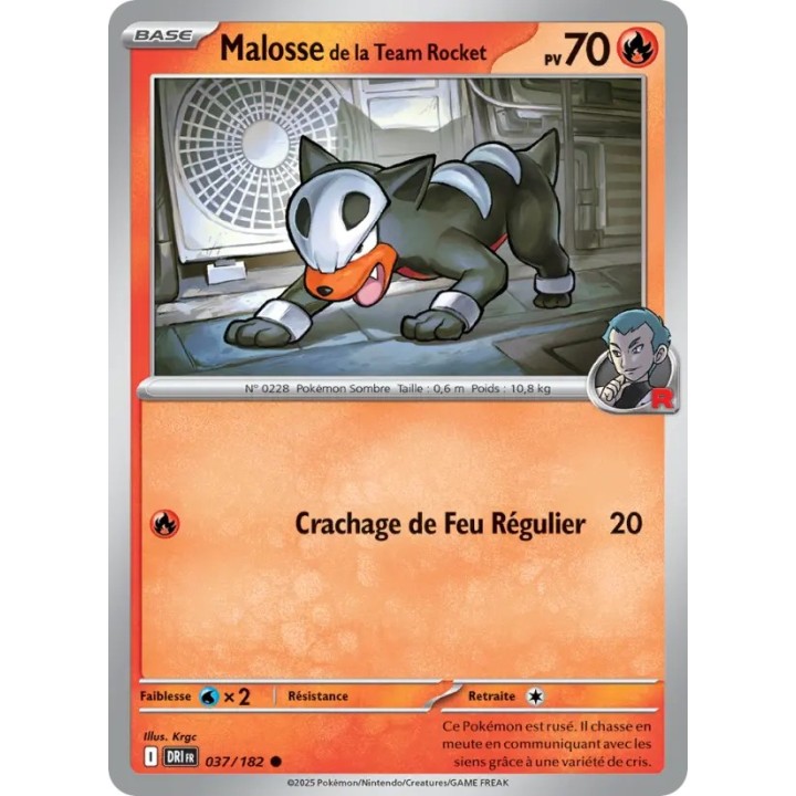 Malosse de la Team Rocket 037/182