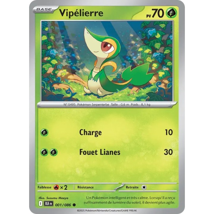 Vipélierre 001/086