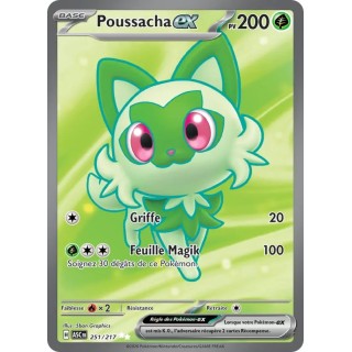 Poussacha-ex 251/217