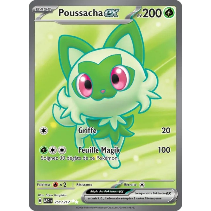 Poussacha-ex 251/217