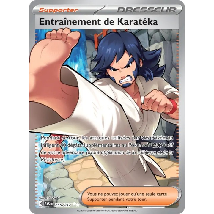 Entraînement de Karatéka 255/217
