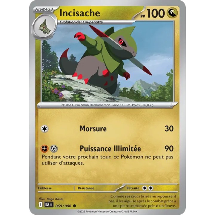 Incisache 069/086