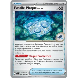 Fossile Plaque Ancien 080/086
