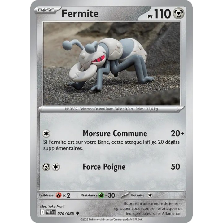 Fermite 070/086
