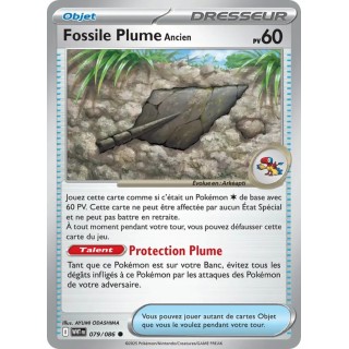 Fossile Plume Ancien 079/086