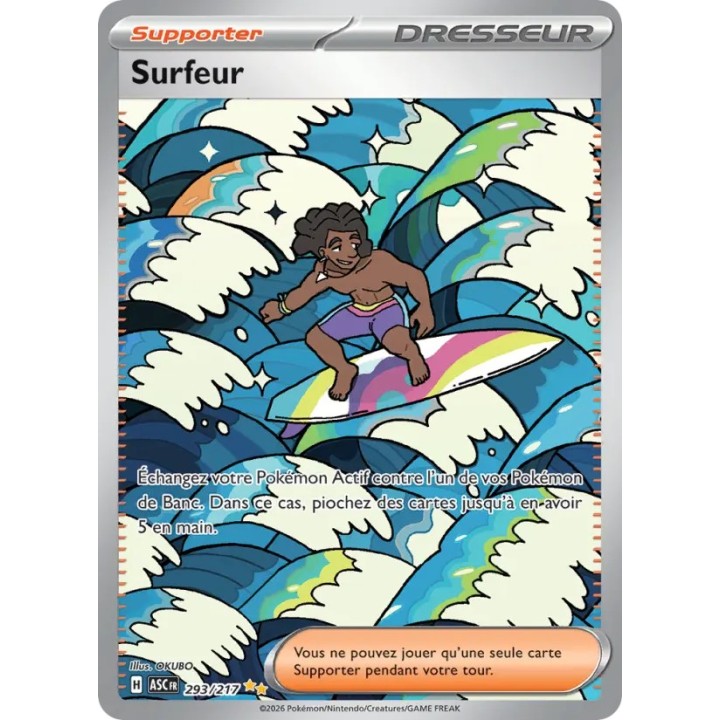 Surfeur 293/217