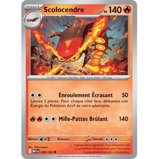 Scolocendre 030/132
