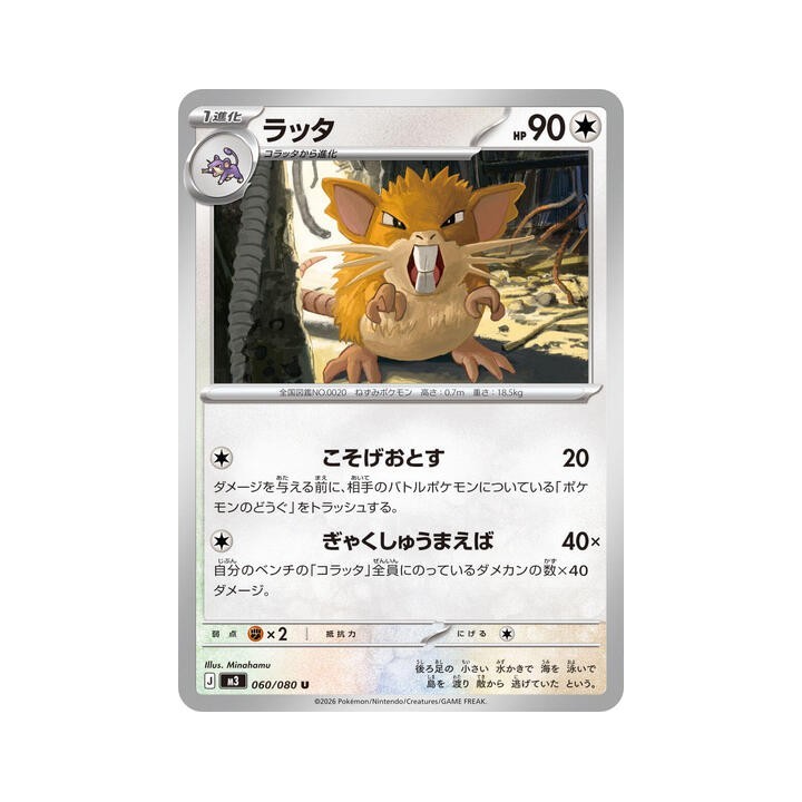 Raticate 060/080