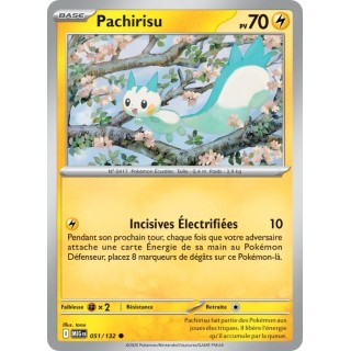 Pachirisu 051/132