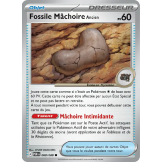 Fossile Mâchoire Ancien 068/088