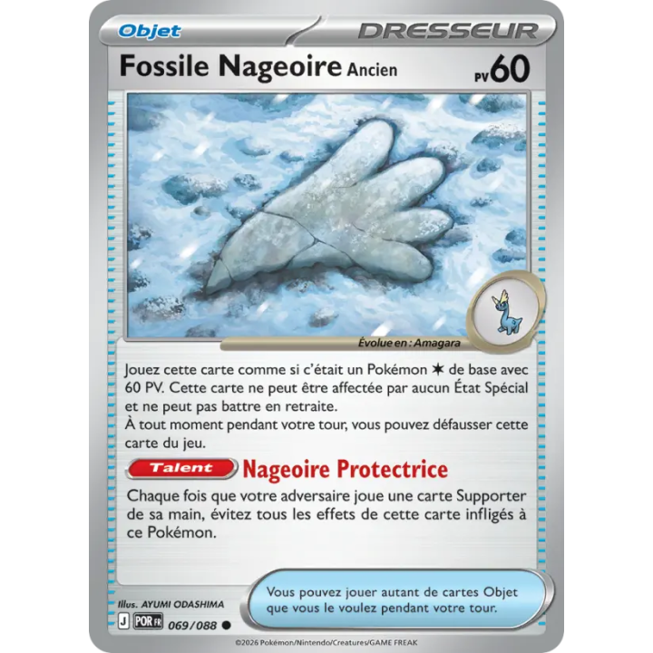Fossile Nageoire Ancien 069/088