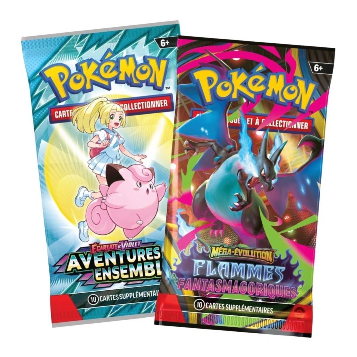 Duo Pack Pokémon Raikou FR | 2 boosters Janvier 2026