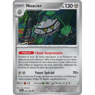 Noacier 063/086