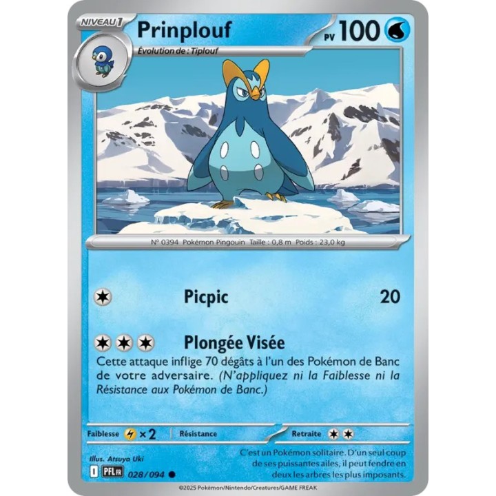 Prinplouf 028/094