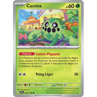 Cacnea 005/198