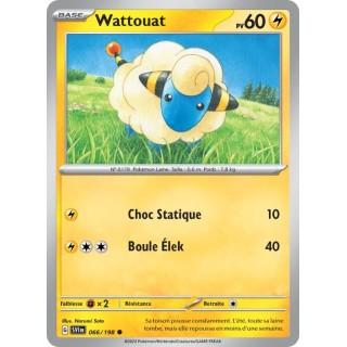 Wattouat 066/198